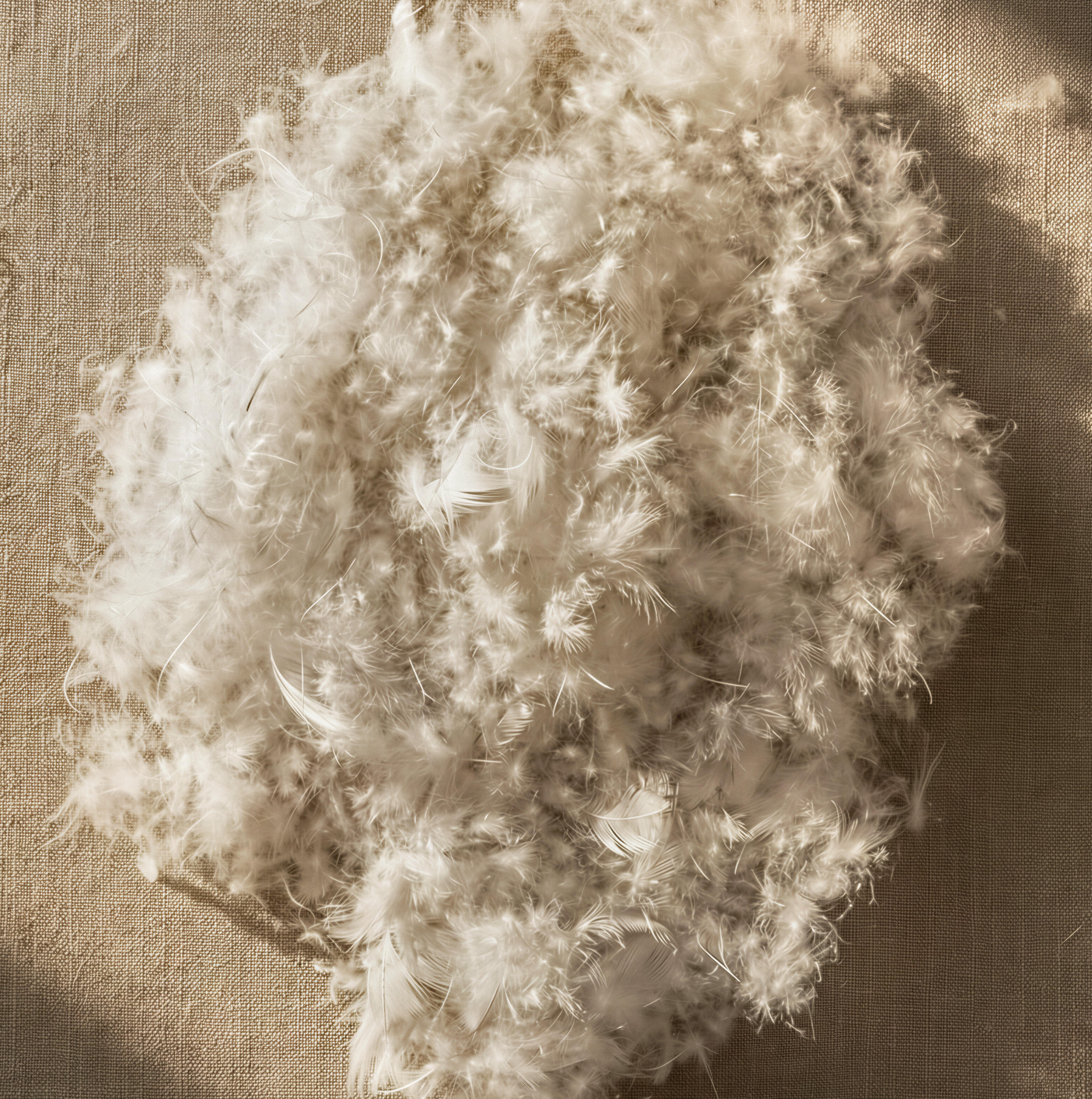 Kaz Tüyü Yastık Nedir? Özellikleri ve Avantajları