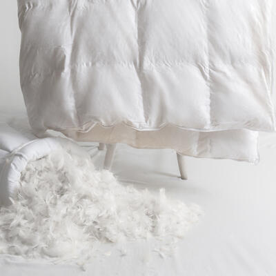 Kaz Tüyü Yorgan Uzun Vadede Formunu Korur mu?