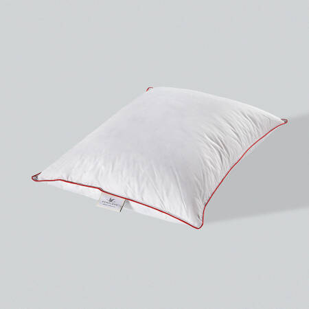 %100 Kaz Tüyü Dolgulu Kaz Tüyü Yastık - Alegra Serisi - Penelope (1)