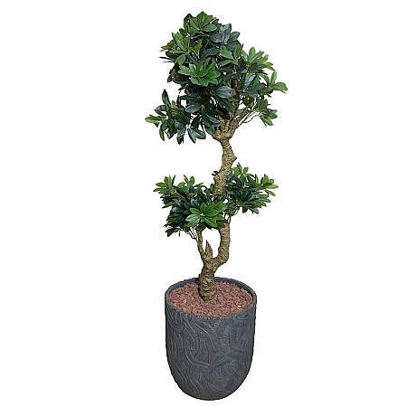 Avera Dekoratif Yapay Bitki - 180 cm - PENELOPE (1)