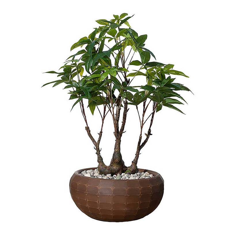 Selva Dekoratif Yapay Bitki - 30x65 cm - 