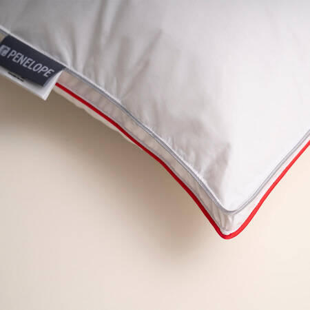 Isı Dengeleyici %100 Kaz Tüyü Dolgulu Çift Taraflı Yastık - Thermy Serisi - 4