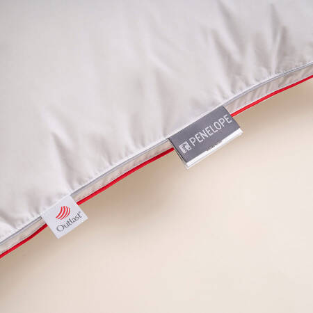 Isı Dengeleyici %100 Kaz Tüyü Dolgulu Çift Taraflı Yastık - Thermy Serisi - 6