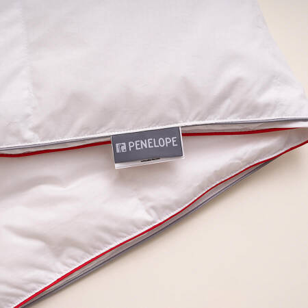 10,5 Tog %100 Kaz Tüyü Dolgulu Isı Dengeleyici Tek Kişilik Yorgan - Thermy Serisi - 5