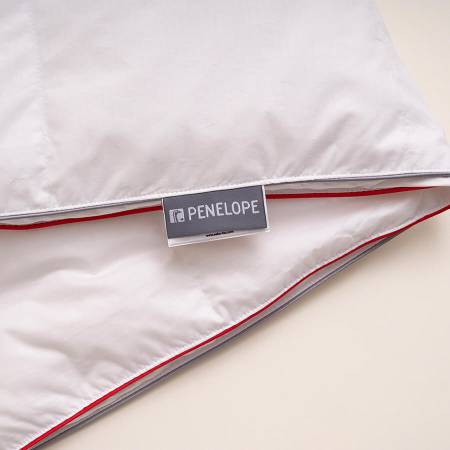 10,5 Tog %100 Kaz Tüyü Dolgulu Isı Dengeleyici Çift Kişilik Yorgan - Thermy Serisi - 5